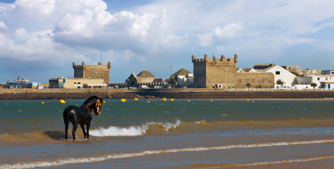 Louer une villa à Essaouira : un choix parfait pour des vacances mémorables